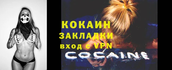 твердый Сосновый Бор