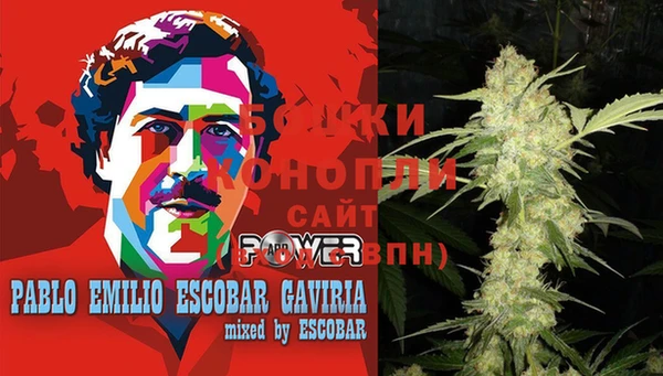 твердый Сосновый Бор