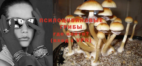 твердый Сосновый Бор