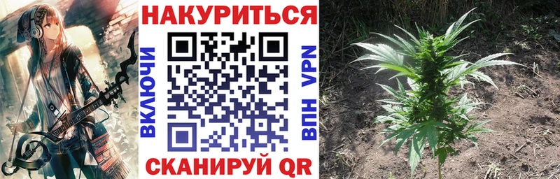 Купить  Новый Оскол  Каннабис план 